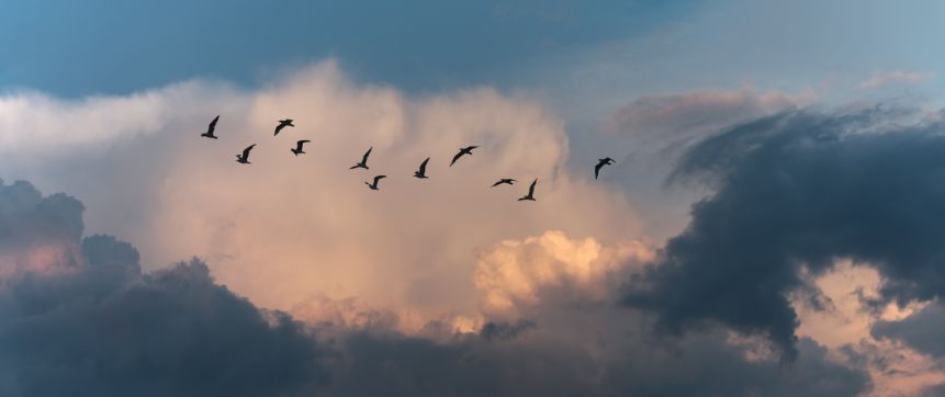 Let childs imagination soar